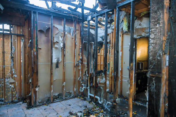Professional Structural Rebuild technician working in Reston, VA